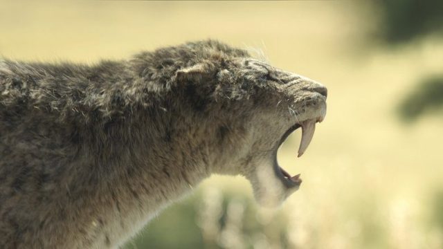 Planeta prehistórico S03E04