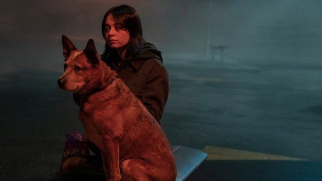 Orphan Black: Echoes S01E07