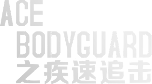 王牌保镖之疾速追击