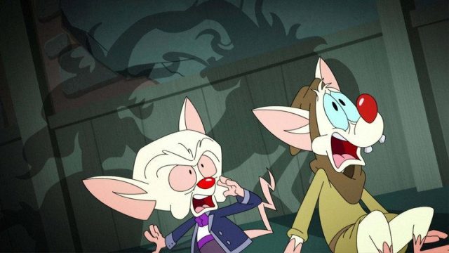 Animaniacs S01E35