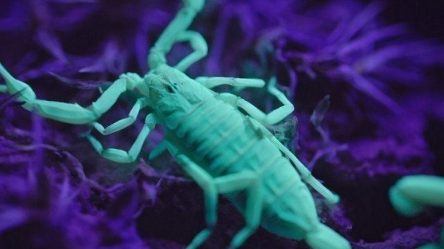 Mundos alienígenas S01E02
