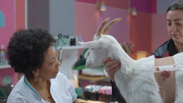 Animal S01E07