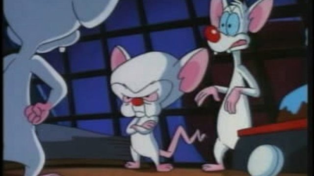 Pinky y Cerebro S02E15