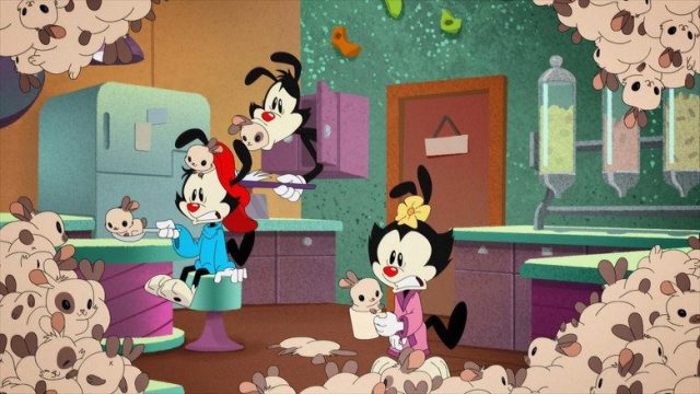 Animaniacs S01E11