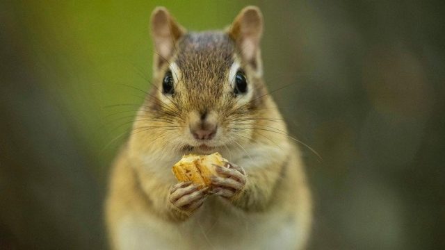 A Year on Planet Earth S01E04
