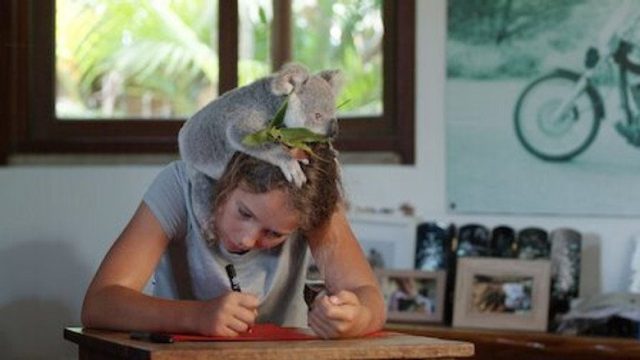 Izzy y los koalas S01E02