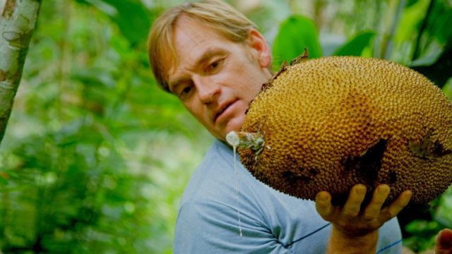 Zac Efron: Con los pies sobre la tierra S01E03