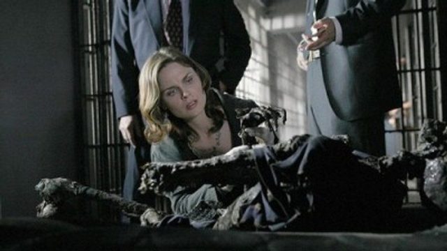 Bones S02E12