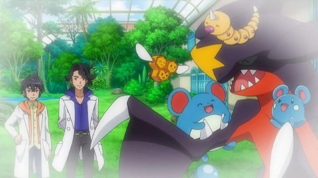 Pokémon S18E20