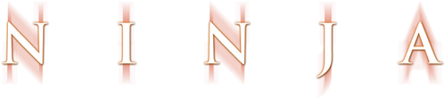 Ninja: El guerrero silencioso