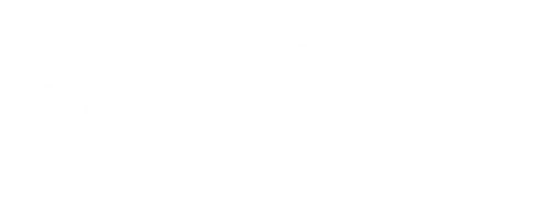 Thailand's Wild Cats