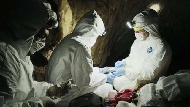 Pandemia S01E03