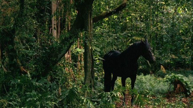Lost S02E09