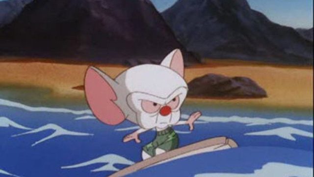 Pinky y Cerebro S03E41