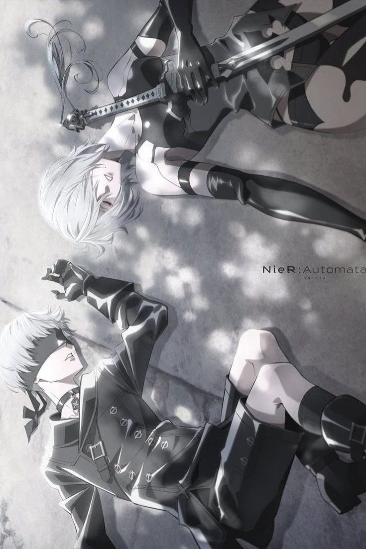 NieR:Automata Ver1.1a Especiales