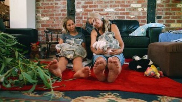 Izzy y los koalas S02E07