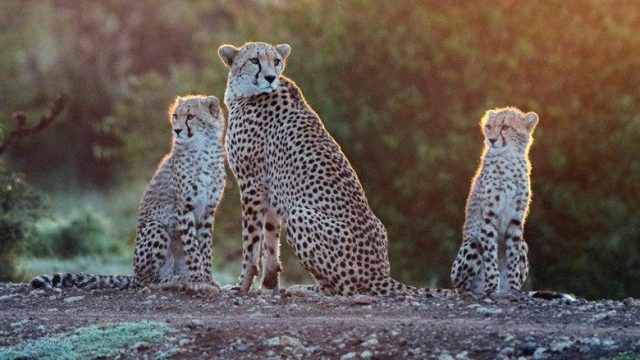 A Year on Planet Earth S01E02