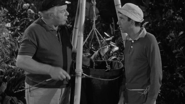 La isla de Gilligan S01E14