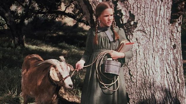 La familia Ingalls S03E08
