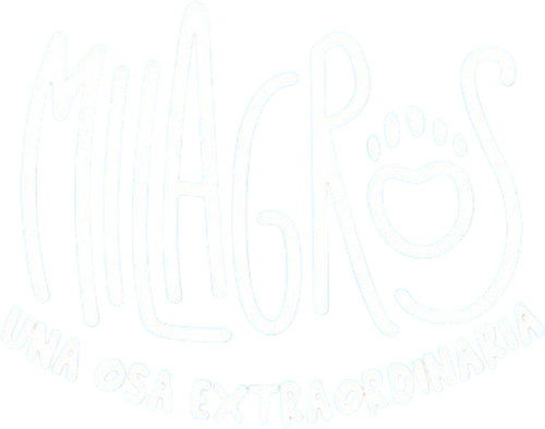 Milagros: Una osa extraordinaria