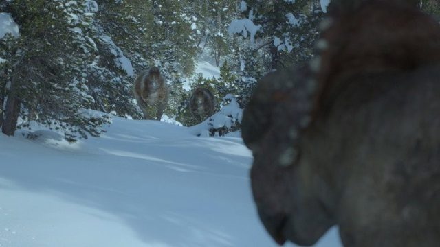 Planeta prehistórico S00E04