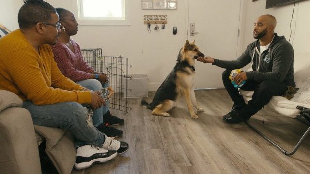 Adiestramiento canino S01E02