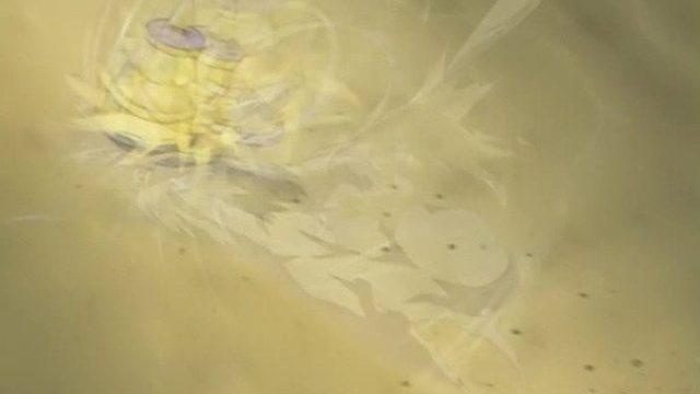 BeyBlade S01E10