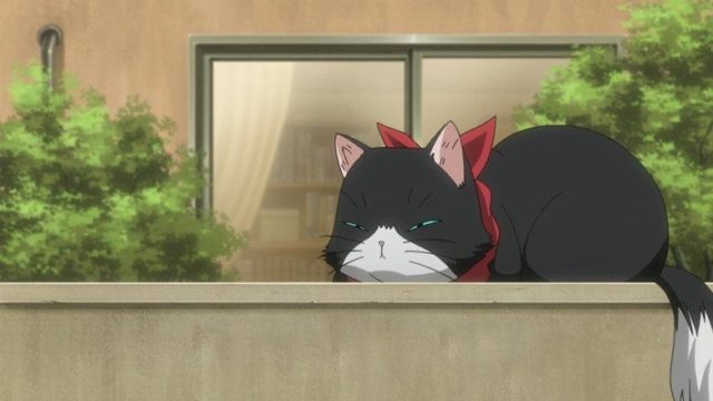 にゃんこい！ S01E11