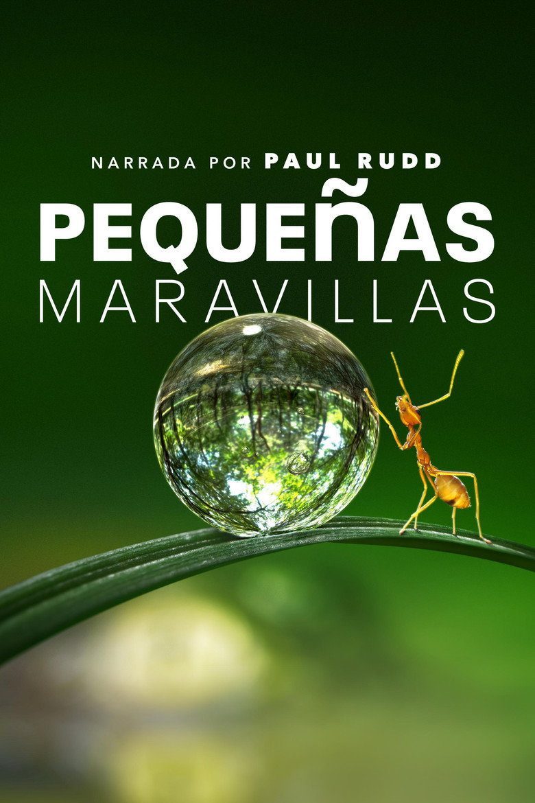 Pequeñas maravillas Temporada 1