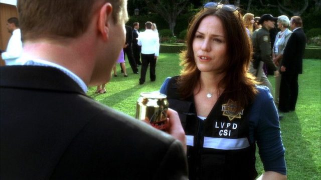 CSI: Las Vegas S06E21
