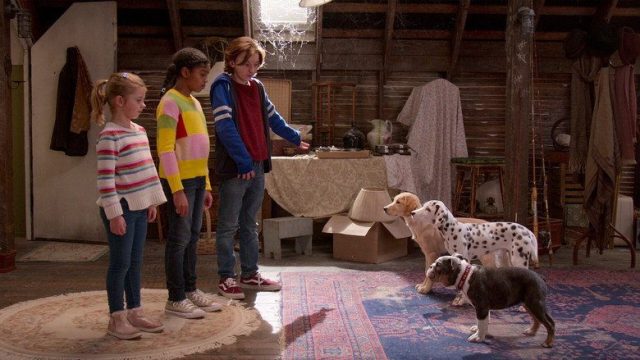 Cachorros fantasmas S01E04