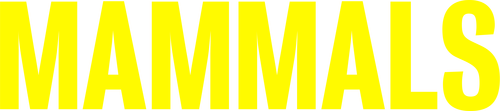 Mamíferos