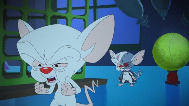Animaniacs S01E28