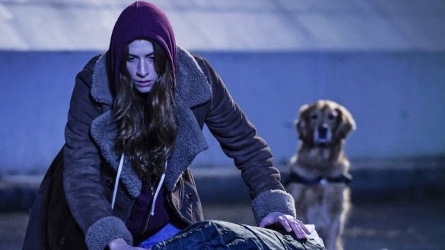 In the Dark S01E13