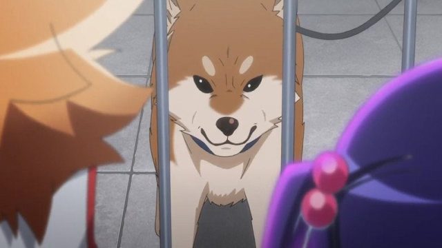 城下町のダンデライオン S01E03