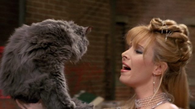 Friends S02E17