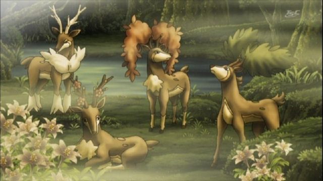Pokémon S15E06