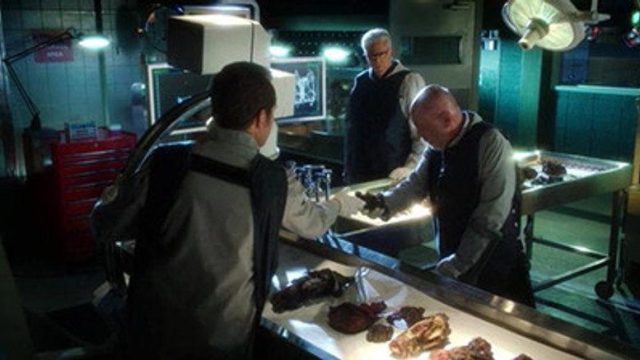 CSI: Las Vegas S13E10