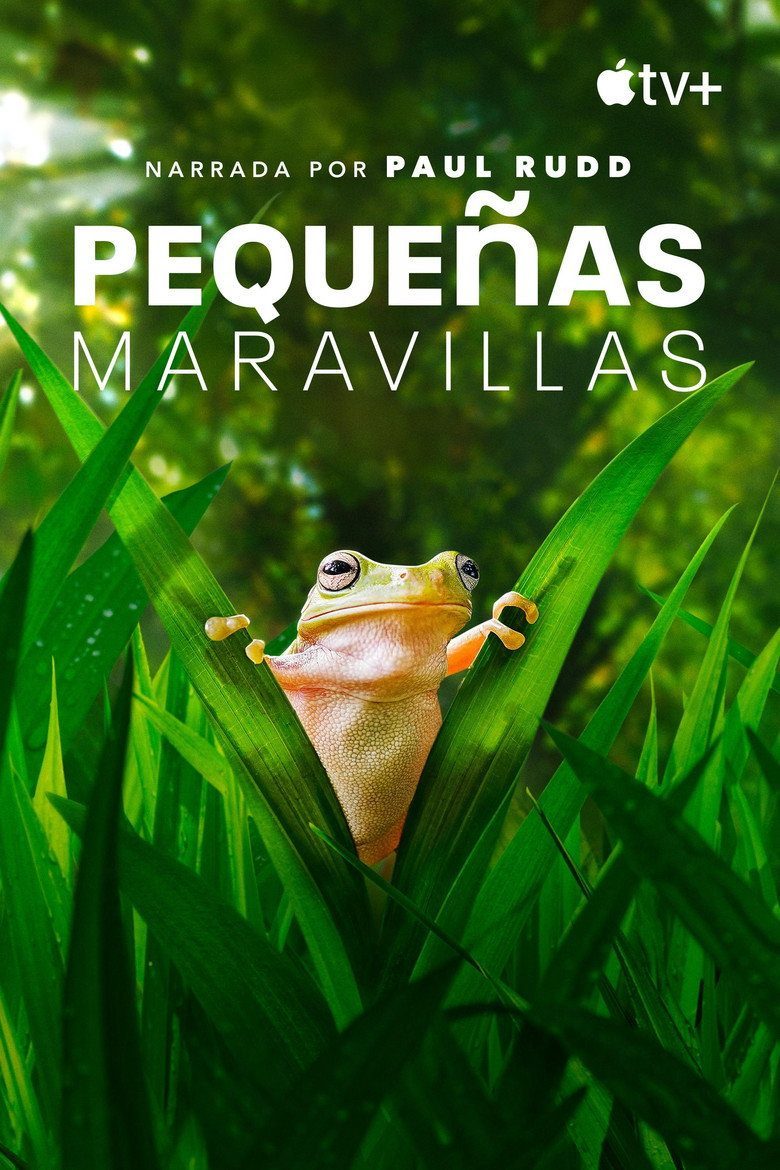 Pequeñas maravillas Temporada 2