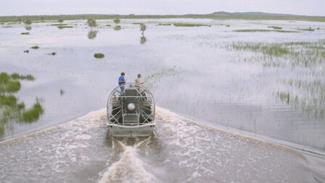 Matt Wright's Wild Territory S01E03