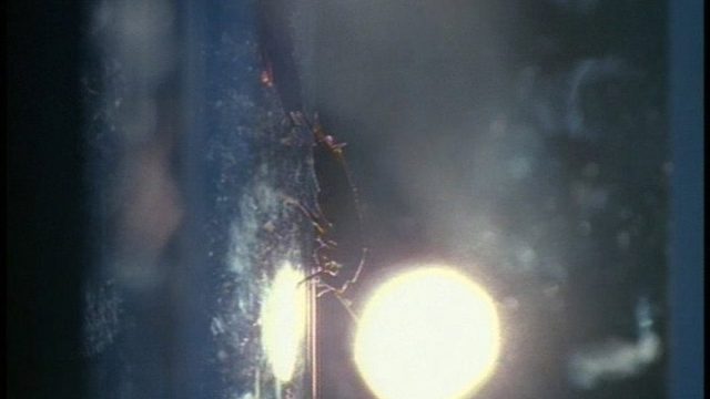 Los Expedientes Secretos X S00E43