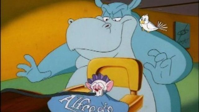 Animaniacs S04E20