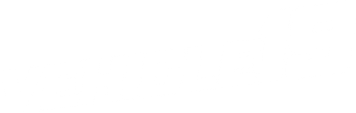 Vehículo 19