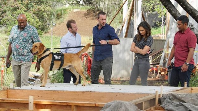 Hawaii Five-0 S08E16