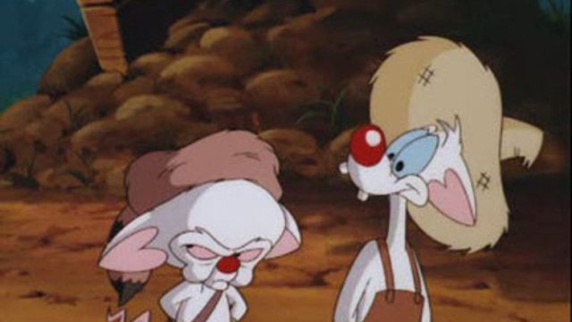 Pinky y Cerebro S04E07