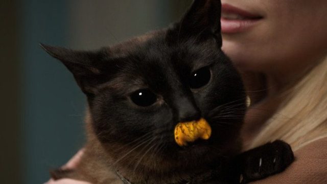 Grimm S01E22