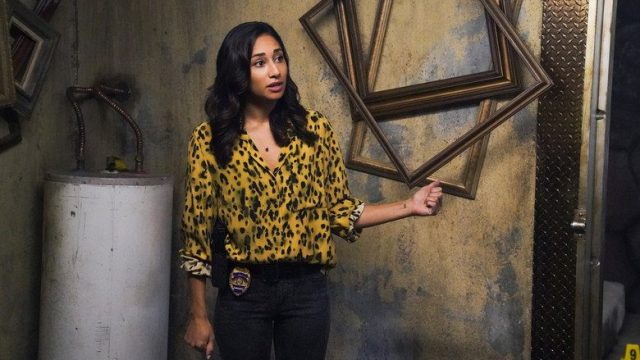 Hawaii Five-0 S10E05