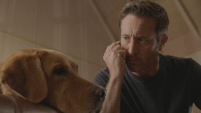 Hawaii Five-0 S10E14