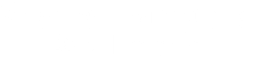 Sierra Burgess es una loser