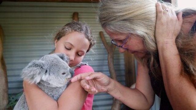 Izzy y los koalas S01E05